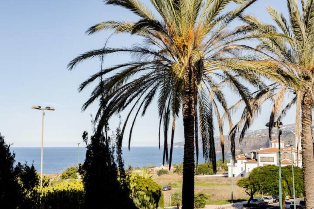 New Apartment Sherezade Tenerife Puerto de la Cruz  Eksteriør billede